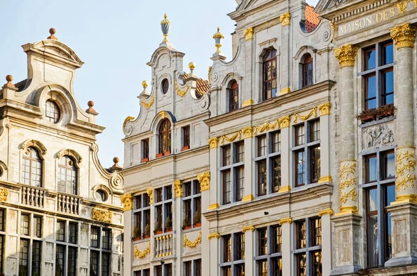 Будинки Xvii Століття Брюссельському Гранд Плейс — стокове фото