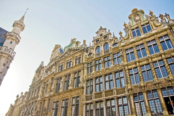 17Th Century Houses Brussels Grand Place — Stock Photo, Image