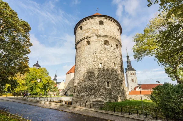 Ortaçağ surlarının kulede, tallinn, Estonya