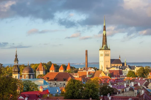 Aziz Olafs 'ın kilise kulesi de dahil eski Tallinn şehri manzarası. Estonya