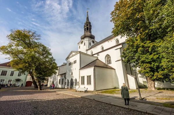 St Mary Katedrali Tallinn, Estonya 'da geniş bir açıyla çekildi.