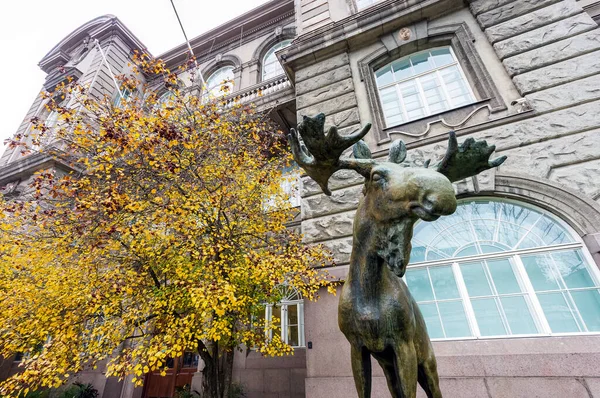 Статуя Лося Перед Фінським Музеєм Природознавства Гельсінкі Фінляндія — стокове фото