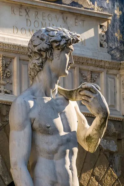 Die Statue Von David Von Michelangelo Florenz Italien — Stockfoto