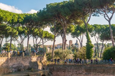 İtalya 'da, Roma' da, Palatine tepesinde şemsiye ağaçları olan harabeler.