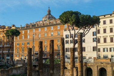 İtalya, Roma 'daki Largo di Torre Arjantin' deki Roma harabeleri
