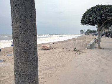 Costa Daurada, İspanya 'dan tipik tatil yeri (Cambrils, Salou).