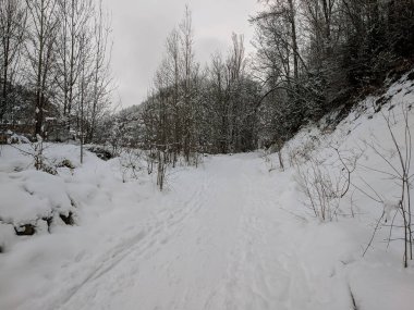 Panticosa, İspanya 'da küçük bir dağ kasabası.