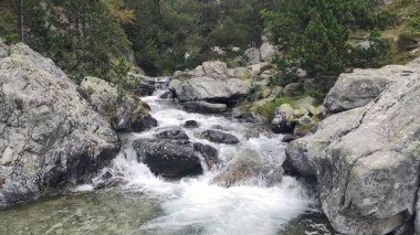 Panticosa, İspanya 'da küçük bir dağ kasabası.