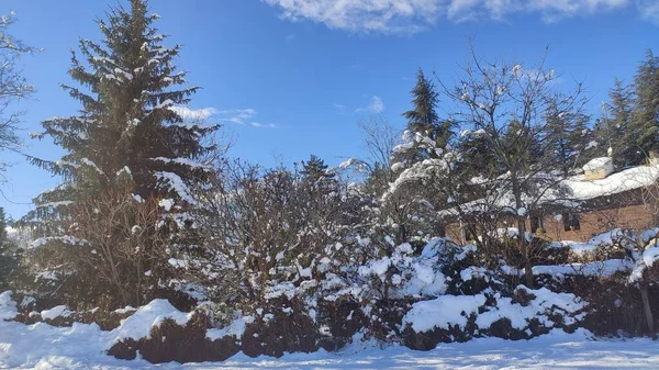 Zimowy Krajobraz Widokiem Zaśnieżoną Górę — Zdjęcie stockowe