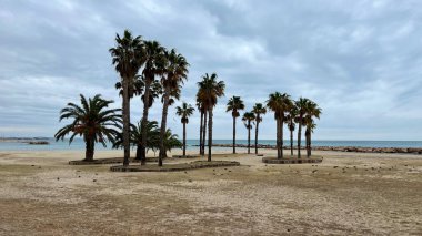 Costa Daurada, İspanya 'dan tipik tatil yeri (Cambrils, Salou).