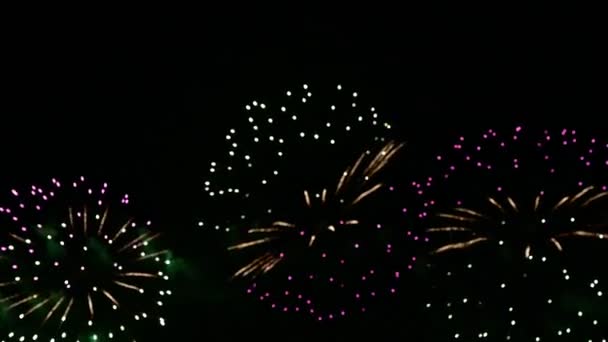 Fogos Artifício Brilhantes Coloridos Brilhantes Céu Noturno Fogo Artifício Desfocado — Vídeo de Stock