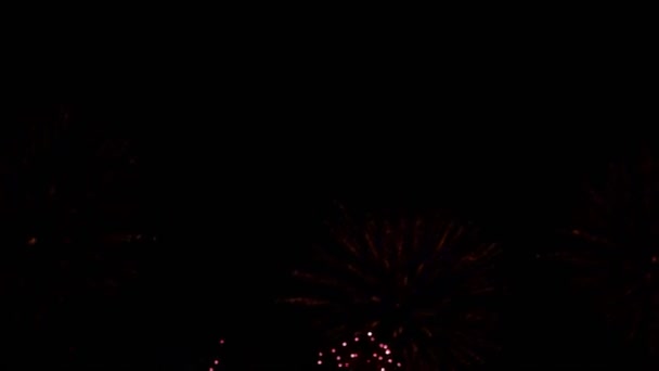Buntes Festlich Leuchtendes Feuerwerk Nachthimmel Verschwommenes Bokeh Feuerwerk Das Bei — Stockvideo