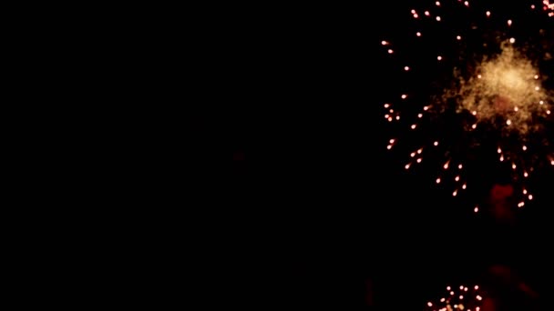 Fogos Artifício Brilhantes Coloridos Brilhantes Céu Noturno Fogo Artifício Desfocado — Vídeo de Stock