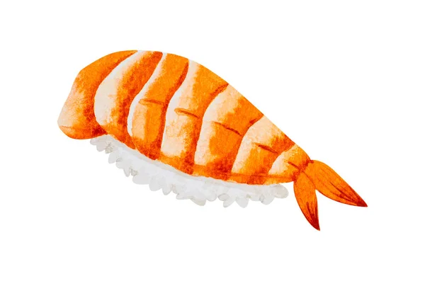 Ebi Shrimp Nigiri Suushi Японська Кухня Рука Аквареллю Ізольована Білому — стокове фото