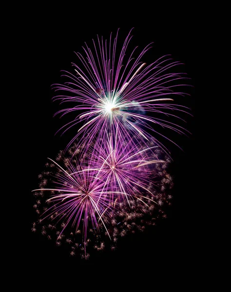 stock image Beautiful pink fireworks display isolated on black background for celebration and anniversary