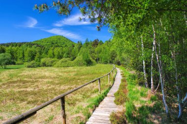 Zittau Dağları, baharda Lausche Dağı.
