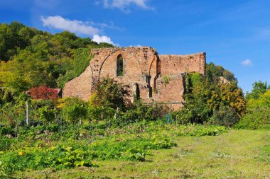 Meissen Manastırı, Heilig Kreuz 'u ve meyve bahçesini elma ağaçlarıyla harap etti.
