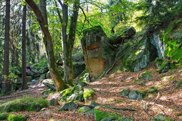 Zittau Dağları Ndaki Kayalar Sonbahar Stok Resim