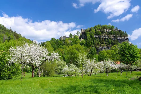 Zittau山 花のリンゴの木と春のOybin修道院 ストック画像