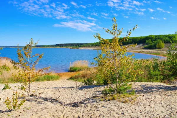 stock image Geierswalder Lake beach in Lusatian Lake District on a sunny day, Germany