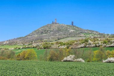 Hazmburk Castle in the Bohemian Mountains, Czech Republic in spring clipart