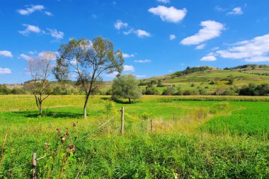 Romanya 'nın Sighisoara kenti yakınlarındaki Transilvanya' da tipik manzara