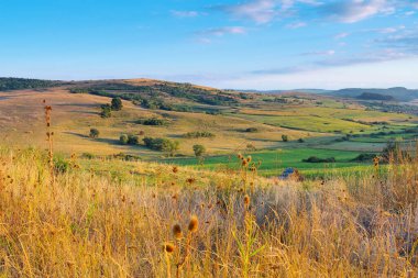 typical Landscape in Transylvania near Sighisoara in Romania clipart