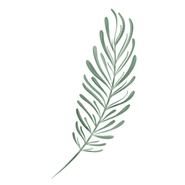 Beyaz arka planda beyaz suluboya Noel çelengi üzerine izole edilmiş laleler.