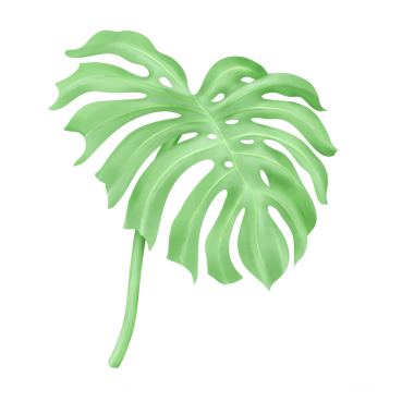 canavar suluboya yapraklar ve dallar sevimli tasarım elementleri kendi düzeni oluşturmak için, onur ve elementler. png