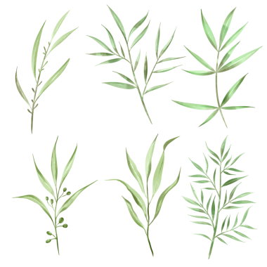 Yeşillik yaprakları, dal dalları, bitki, bitki, bitki örtüsü, suluboya tarzında. Düğün davetiyesi için botanik dekoru