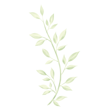 Suluboya yeşil yapraklar koleksiyonu. Güzel suluboya yapraklar ve dallar. Png resimlemesi.