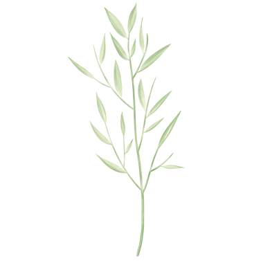 Beyaz kağıda boyanmış yeşil yapraklar Güzel suluboya yapraklar.