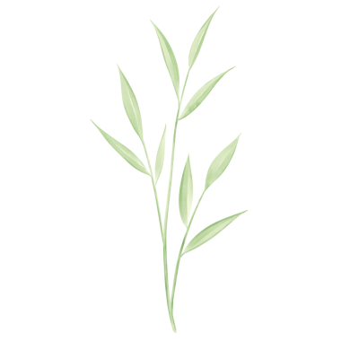 Beyaz kağıda boyanmış yeşil yapraklar Güzel suluboya yapraklar.