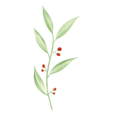 Suluboya çiçekli yapraklar ve dallı çelenkler. kırmızı dutlu dal