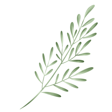 Beyaz kağıda boyanmış yeşil yapraklar Güzel suluboya yapraklar.