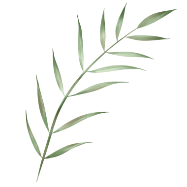 Beyaz kağıda boyanmış yeşil yapraklar Güzel suluboya yapraklar.