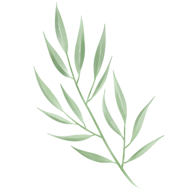 Beyaz kağıda boyanmış yeşil yapraklar Güzel suluboya yapraklar.