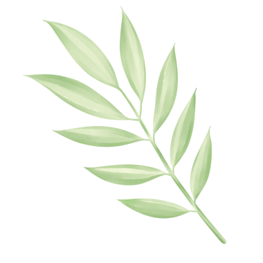 Beyaz kağıda boyanmış yeşil yapraklar Güzel suluboya yapraklar.