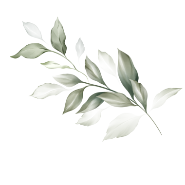 Noel kartı suluboya tarzında dalları ve meyveleri olan suluboya Noel ağaçları.