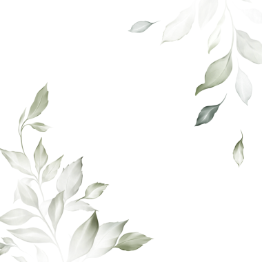 Modern tarzda beyaz arka planda bitki unsurları olan suluboya resim.