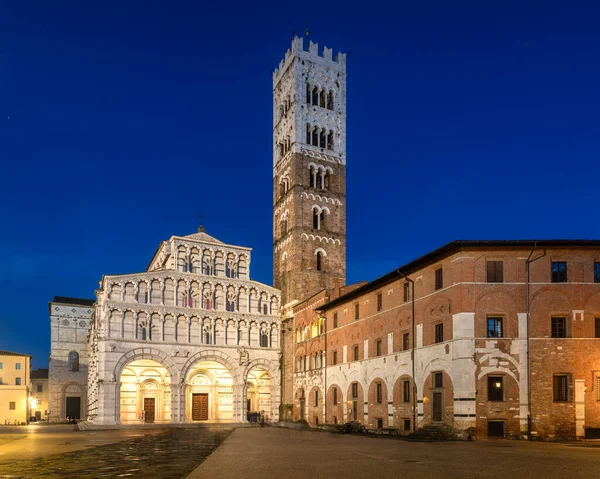 Lucca Katedral Den Blå Timen Toscana Italia – stockfoto