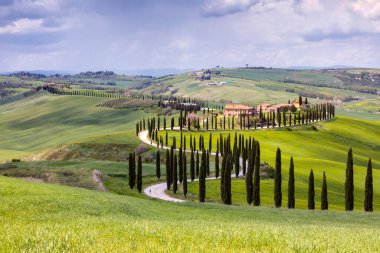 Beautiful hillscape with cypress road at Crete Senesi, Tuscany, Italy