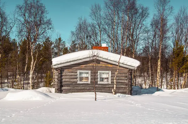 Ormandaki ahşap kulübe.