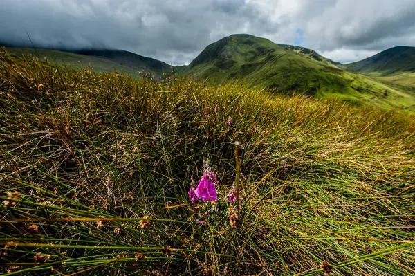 Dağların güzel manzarası