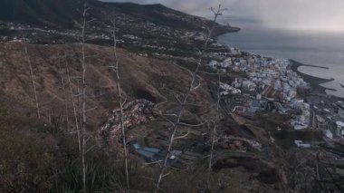 Eleştirmenler tarafından Kanarya Adaları 'nın en iyi Rönesans tarzı kompleksi olarak kabul edilen Plaza de Espana tarihi boyunca sivil olayları kutlamak amacıyla ana meydan olarak kullanıldı.