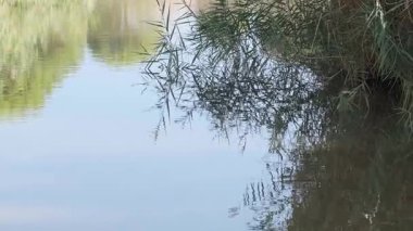 Nehirde sessiz bir viraj