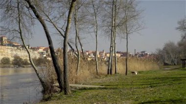 Douro nehrinin kıyısından ortaçağ şehri Zamora manzarası