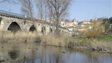 Douro nehrinin kıyısından ortaçağ şehri Zamora manzarası