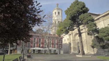İspanya Valladolid 'deki Miguel de Cervantes' in heykeli ve katedralin yan cephesi