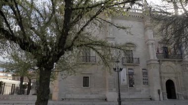 Barok cephe (1715) Valladolid üniversite binasının, İspanya, Carmelite Fray Pedro de la Visitacion tarafından tasarlanan, Üniversite amblemi ile ana kapının üzerinde heykel.